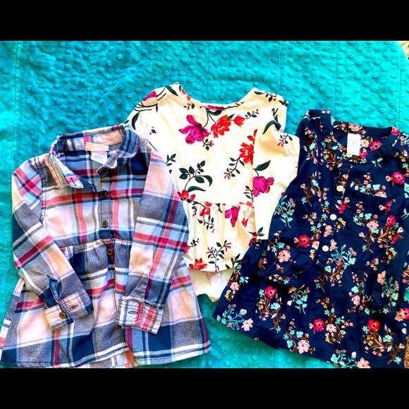 Toddler Girl 2T Spring Shirt Lot - Picture 1 of 4